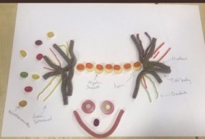 St Ambrose High School image of food used to make a happy face
