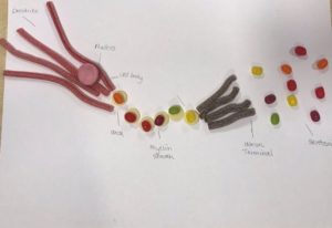 St Ambrose High School use sweets to make fun creative evidence